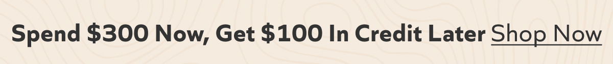 Spend $300 Now, Get $100 In Credit Later Shop Now!