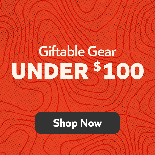 Shop Gifts Under $100