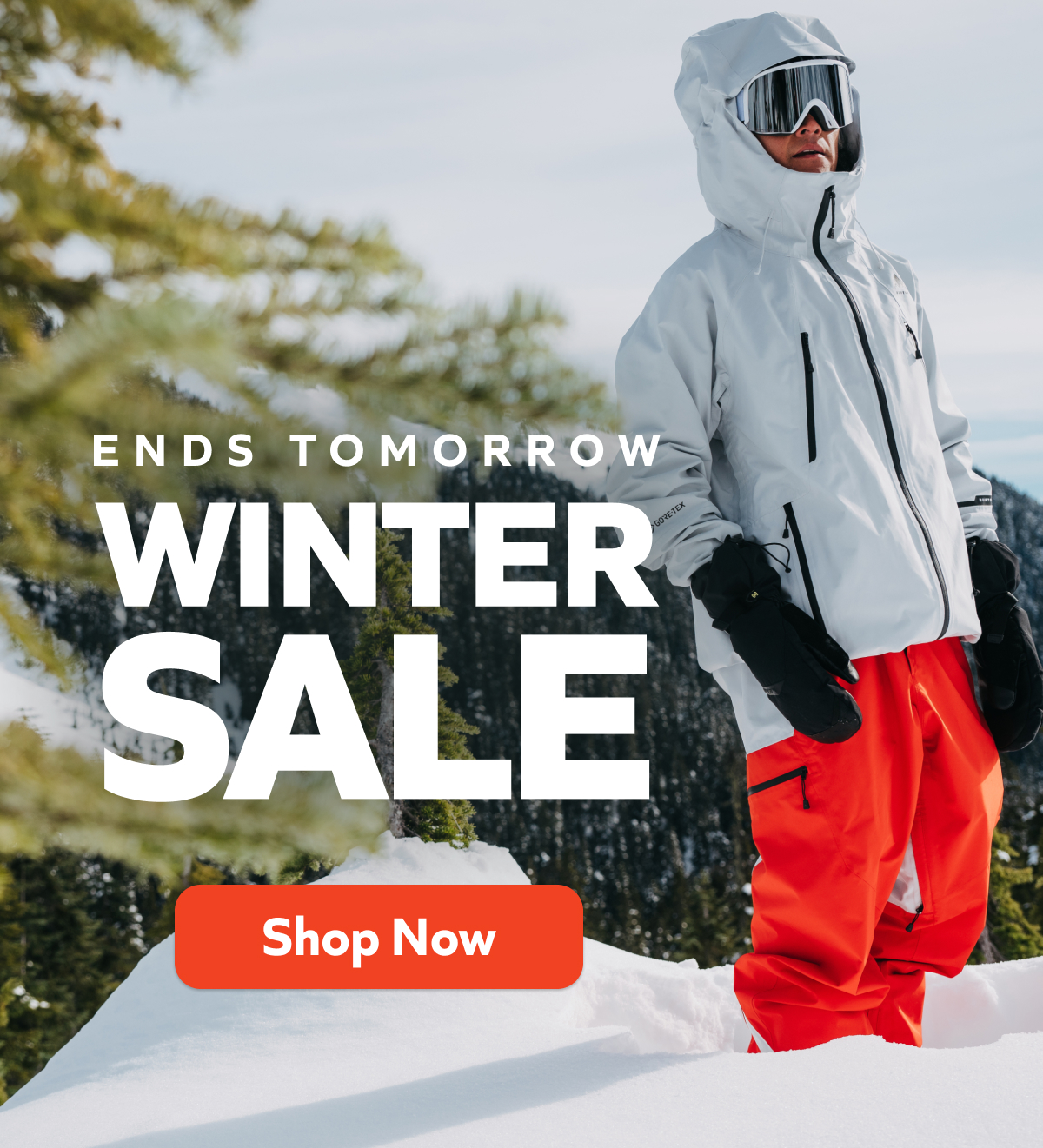Winter Sale Ends Tomorrow | Up to 60% Off - Shop Now