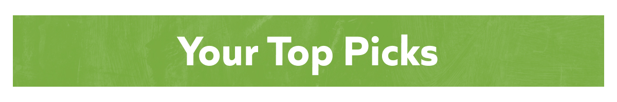 Your Top Picks