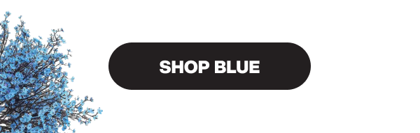 SHOP BLUE LAGOON