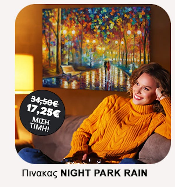 Πινακας σε καμβά NIGHT PARK RAIN