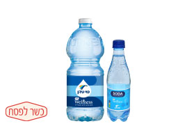 לייף&nbsp;וולנס