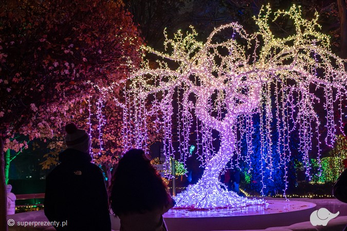 Lumagica Warszawa – voucher na spacer po Ogrodzie Świateł dla dwojga