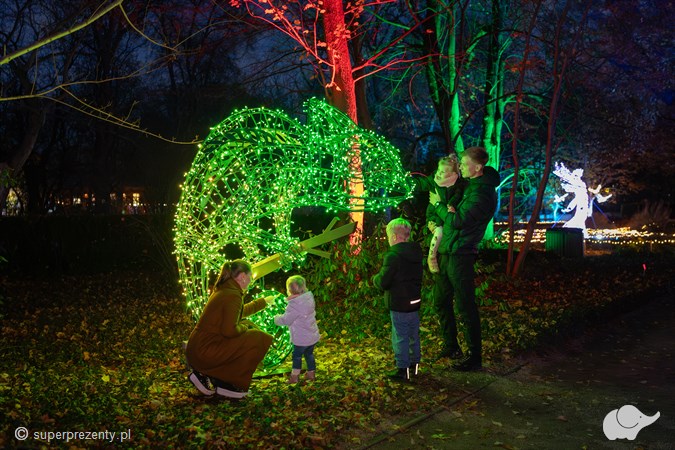 Rodzinny voucher do Ogrodu Świateł Lumagica Warszawa dla 4 osób