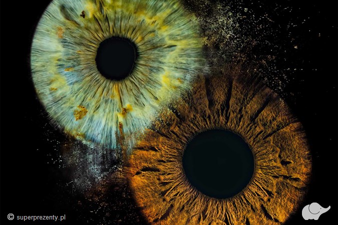 Artystyczny portret tęczówek dla dwojga – A-Eye Gallery, Wrocław