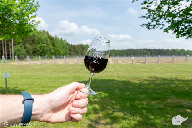Zwiedzanie Winnicy Dwórzno z degustacją i winem do wyboru