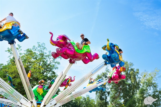 Bilet rodzinny do Parku Julinek i Wesołego Miasteczka