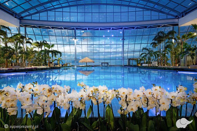 Całodniowe Tropikalne Wakacje pod Palmami w Suntago dla Rodziny