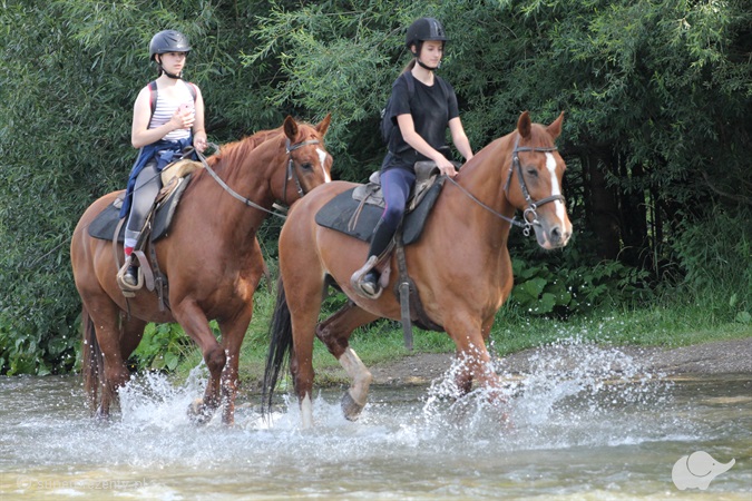 Jazda konna dla dwojga początkujących – Kościelisko | Ranczo w Dolinie