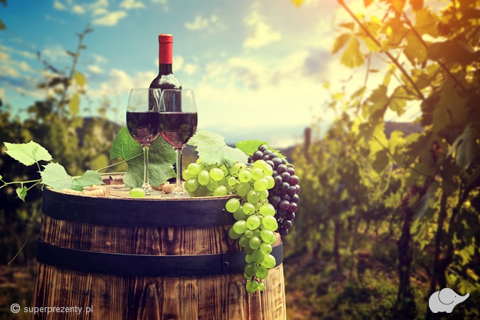 Zwiedzanie winnicy z degustacją 