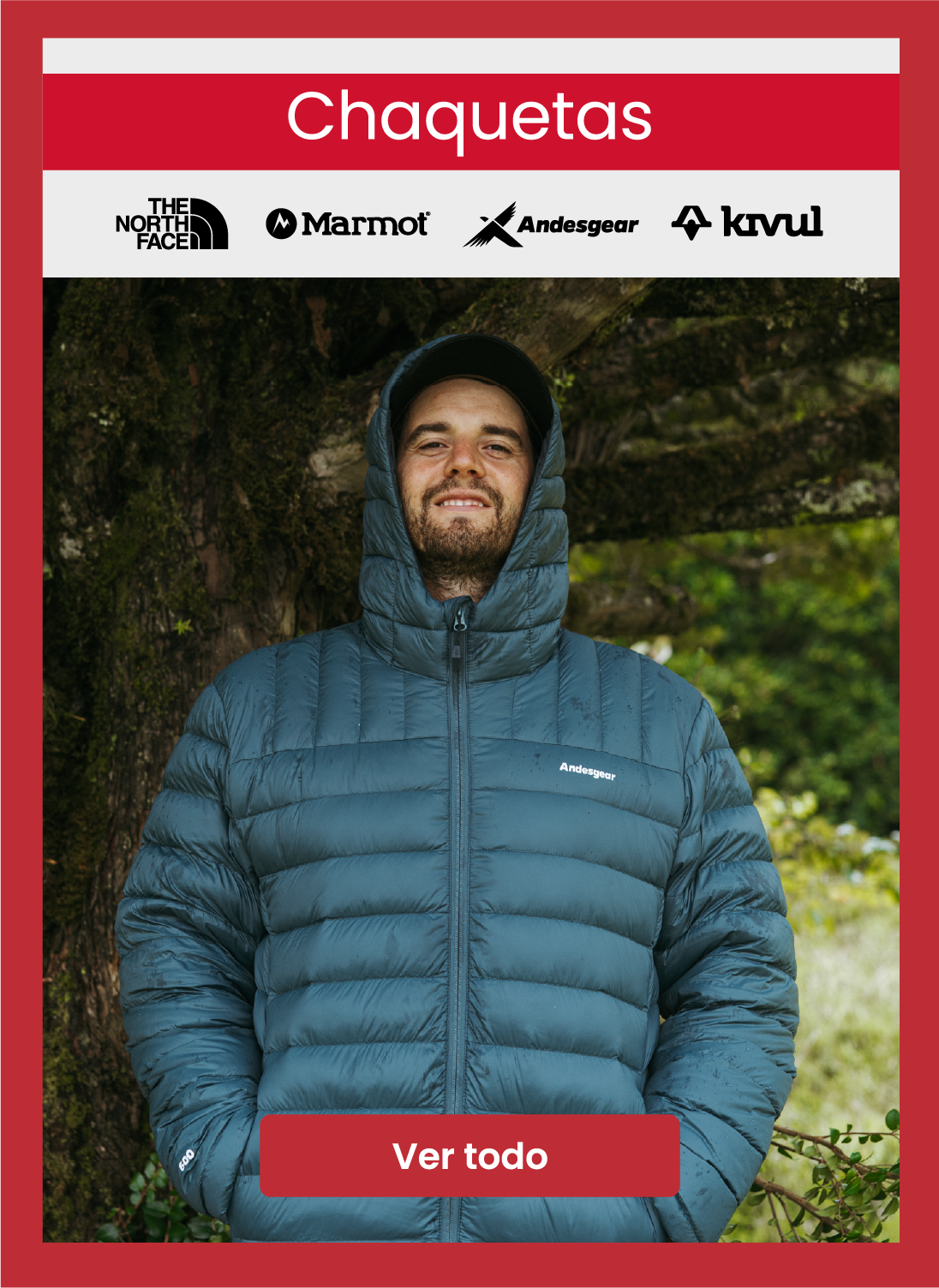 Surprice | Liquidación de Invierno desde 50% - Chaquetas