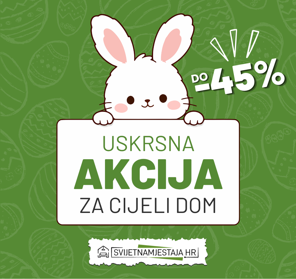 an image of a living room with a couch and a broom