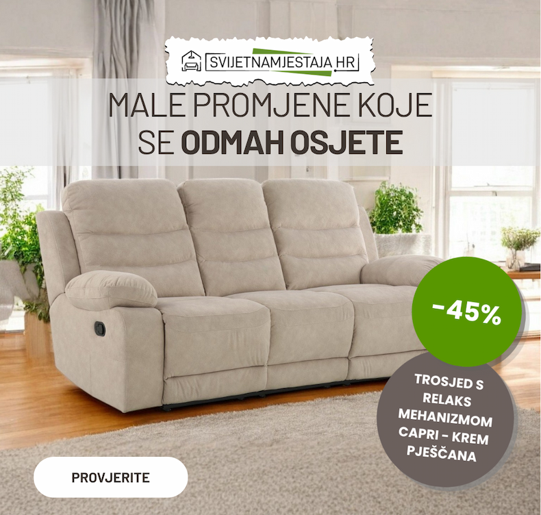 an image of a living room with a couch and a broom