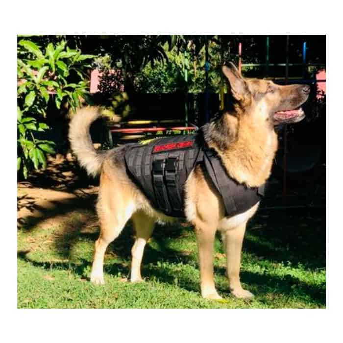 Alpha K9 Bulletproof Level IIIA Vest