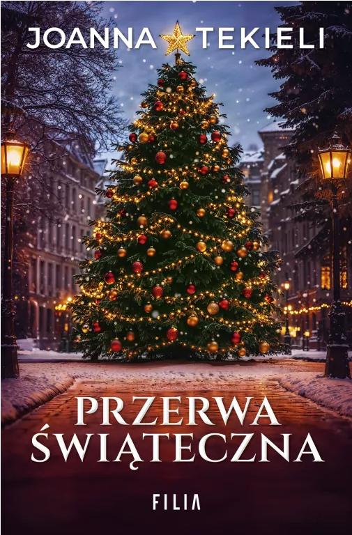 Przerwa świąteczna