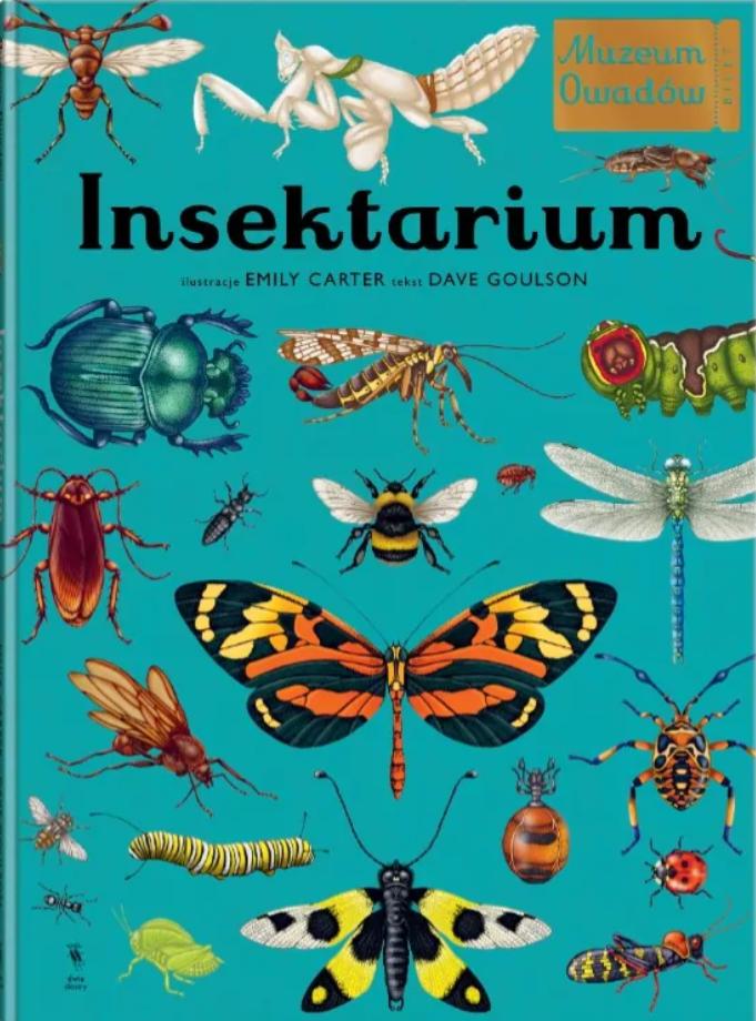 Insektarium. Muzeum Owadów. W Muzeum