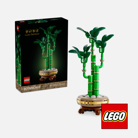 LEGO® Botanicals Lucky Bamboo 10344