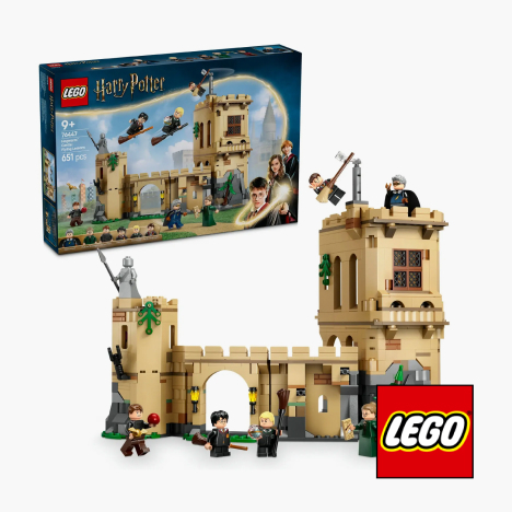 LEGO® Harry Potter Hogwarts Castle: Flying Lessons 76447