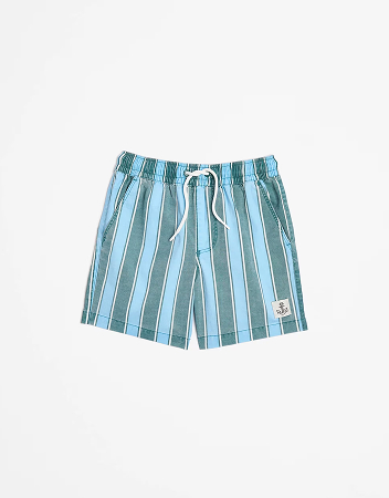 Print Swim Boardshorts - Blue / Stripe