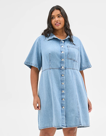 Plus Size Denim Mini Dress