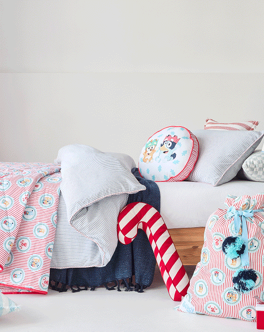 Bluey makes bedtime fun