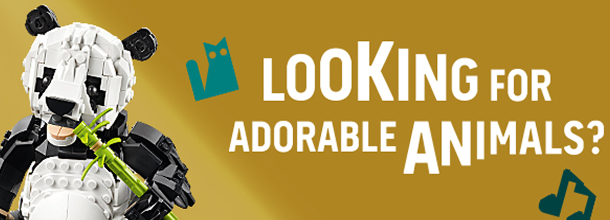 LOOKING FOR ADORABLE ANIMALS