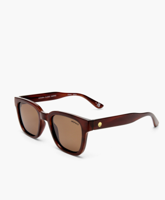 SOLARIZED® Women’s Modern Classic Sunglasses