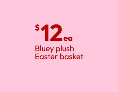 Bluey plush Easter basket
