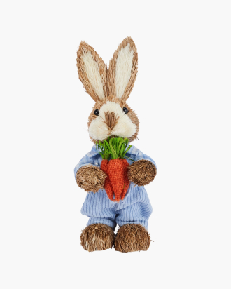 Small Boy Sisal Bunny