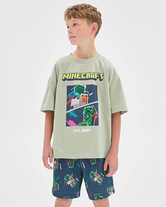 Boys 7-16 Minecraft Australian Cotton PJ set