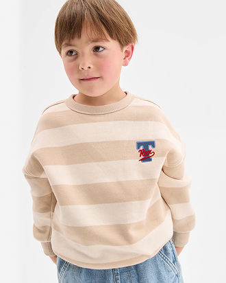 Australian Cotton blend striped jumper