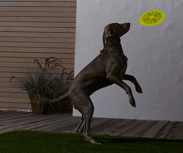 Badtextilien, Beauty-Accessoires & Möbel 