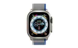 Curea pentru Apple Watch potrivita