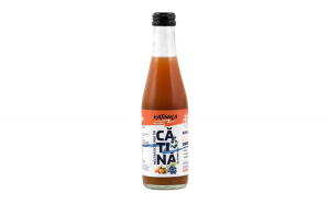 Nectar bio de catina cu afine 250ml.