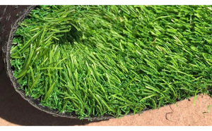 SRI LANKA, Covor Gazon Iarba