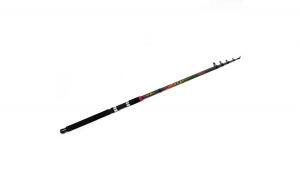 Lanseta telescopica SUPER CARP FISH TT-4