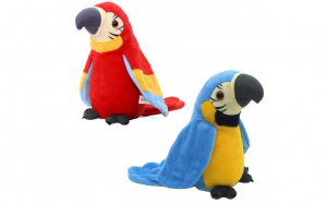 Papagal vorbitor, jucarie plus