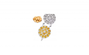 Forme nuci, prajituri