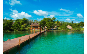 Fototapet Natura29, 250 x 150 cm