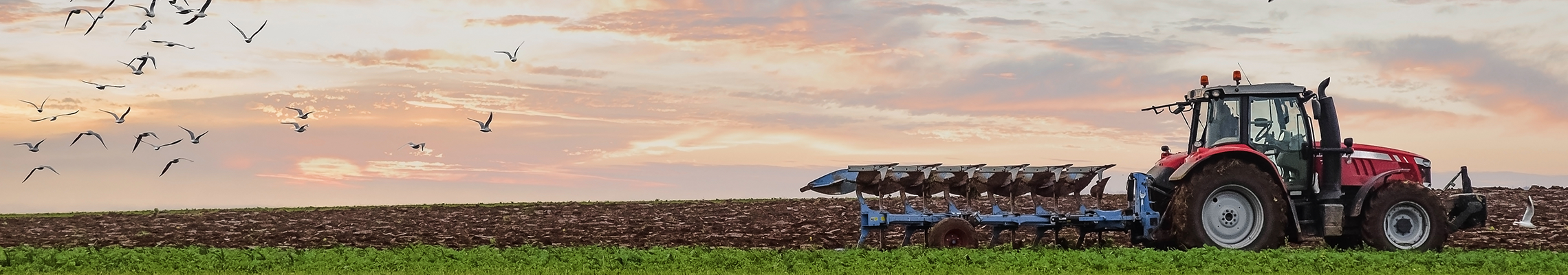 technikbörse Header