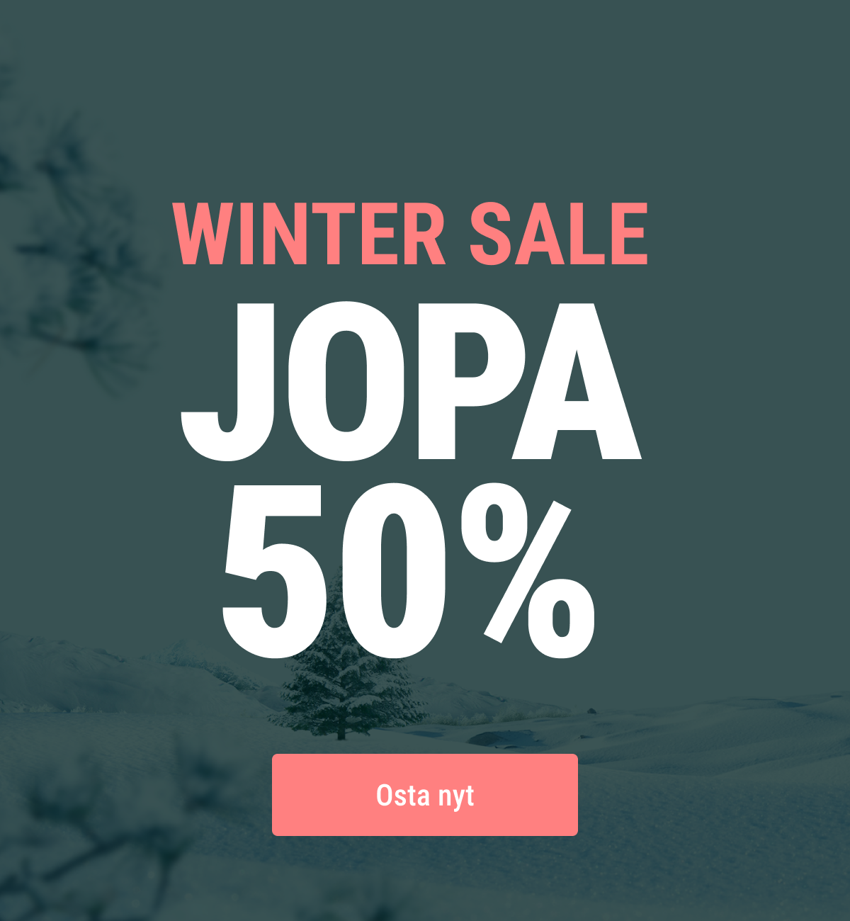 Winter Sale