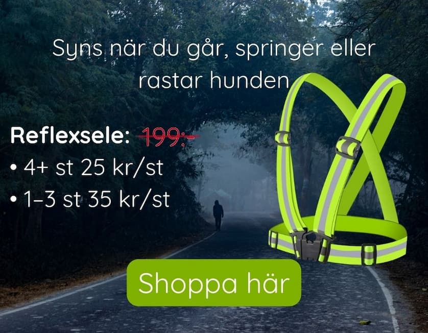 Syns när du går, springer eller rastar hunden. Reflexsele: 4+ st 25kr/st - 1-3 st 29 kr/st. Shoppa här.