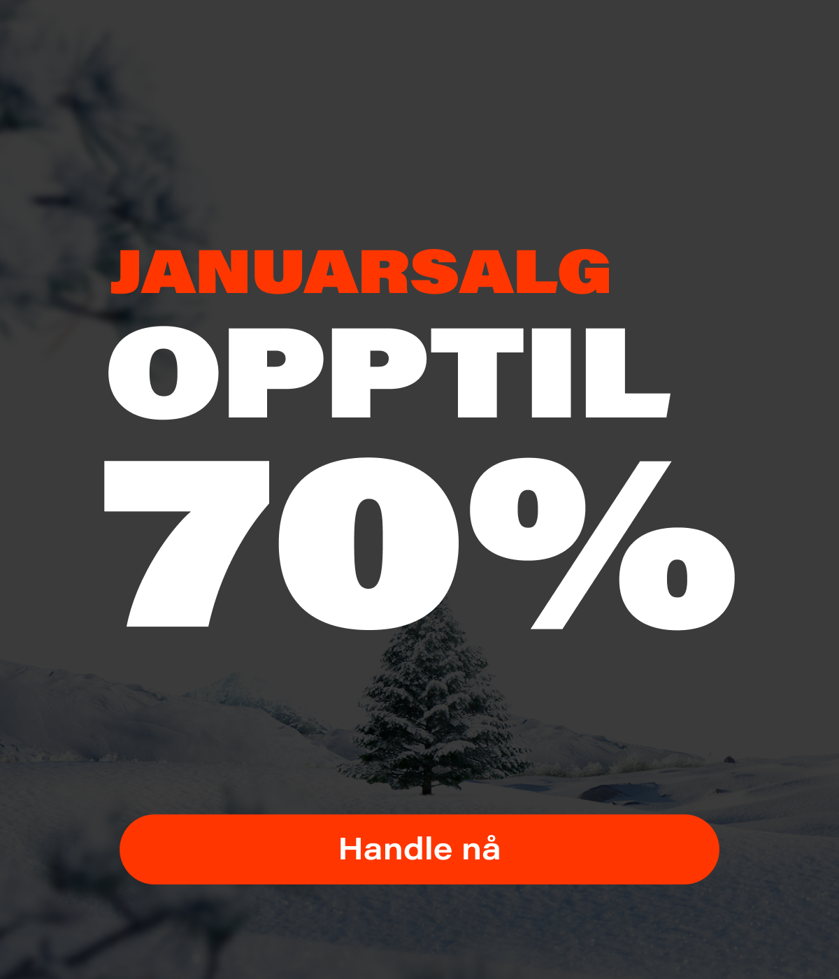 januarsalg