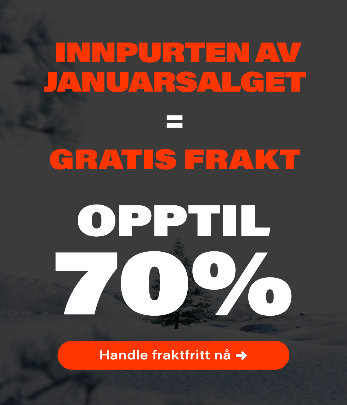 januarsalg