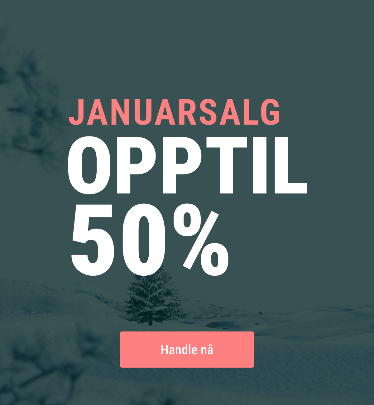 Teknikkdeler.no, januarsalg