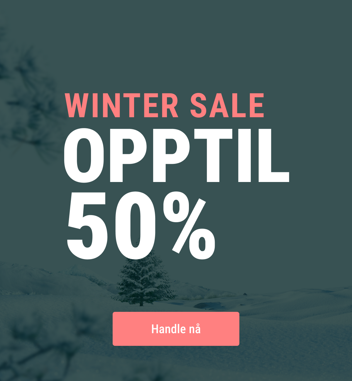 Winter Sale