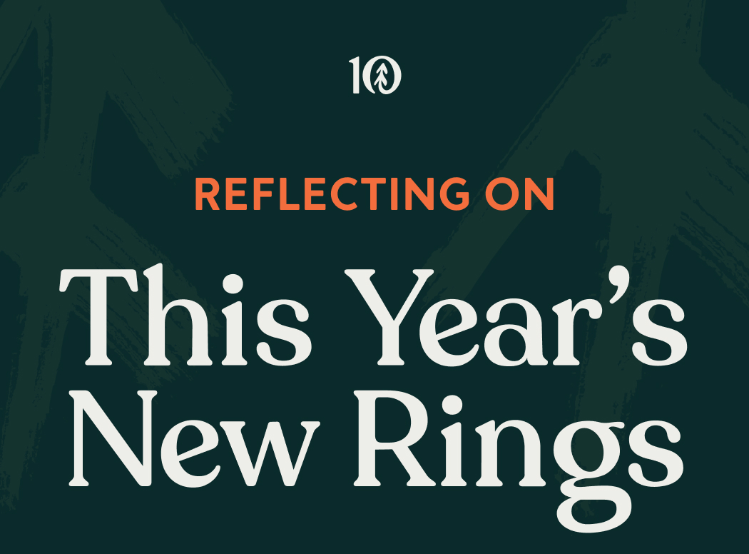 Reflecting On This Year's New Rings