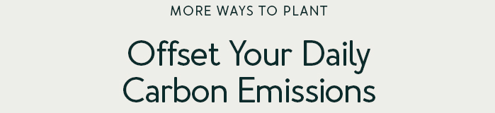 Offset Your Daily Carbon Emissions