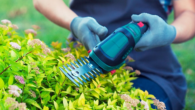 les cisailles électriques de jardin
